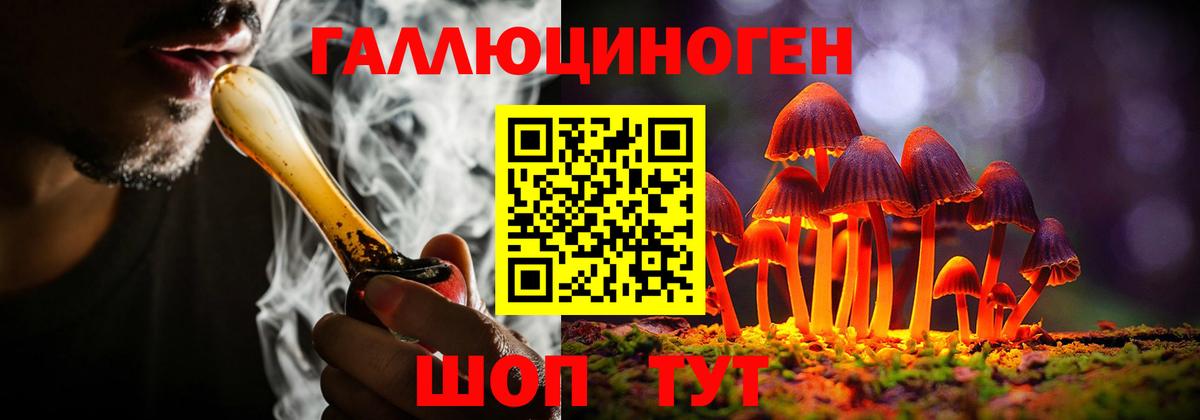 как найти   Галлюциногенные грибы MAGIC MUSHROOMS  Галлюциногенные грибы мухоморы  Вход с VPN  Кострома 
