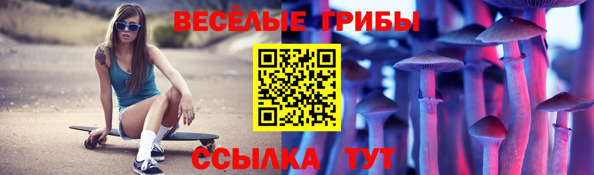 Псилоцибиновые грибы прущие грибы Кострома